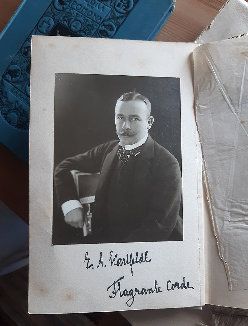 Flagrante corde